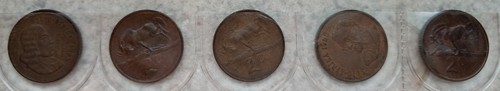 Scegli sud africa - sud, cent