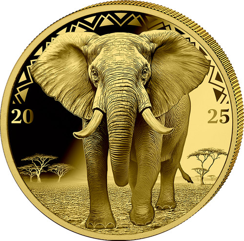 Moneta oro big five elefante - big,